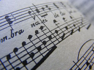 biblioteca 259 copy.jpg